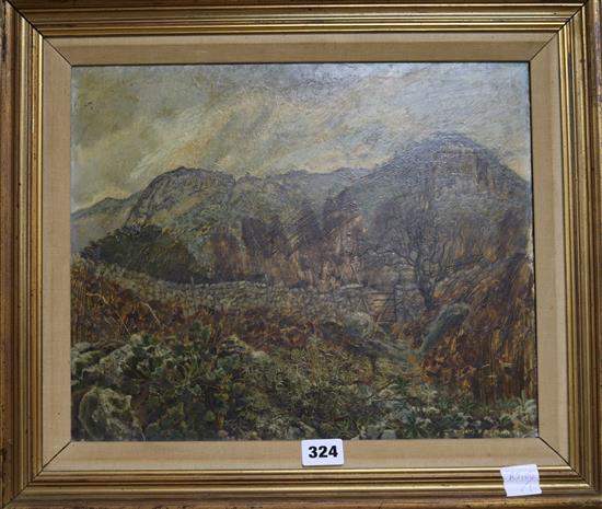 Maurice H. Sheppard, oil on board, Alpine Plants, Cumberland, signed, 11.5 x 14cm.